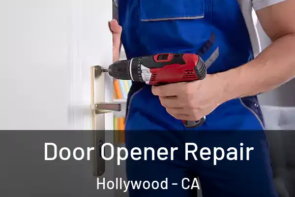  Door Opener Repair Hollywood - CA